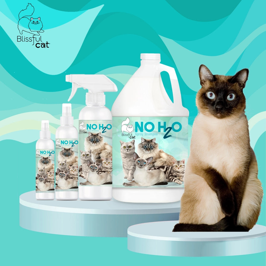 The Blissful Cat No H2O Spray Shampoo - 1 Gallon