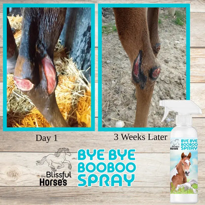 The Blissful Horses Bye Bye Boo Boo Spray - 16 Ounce