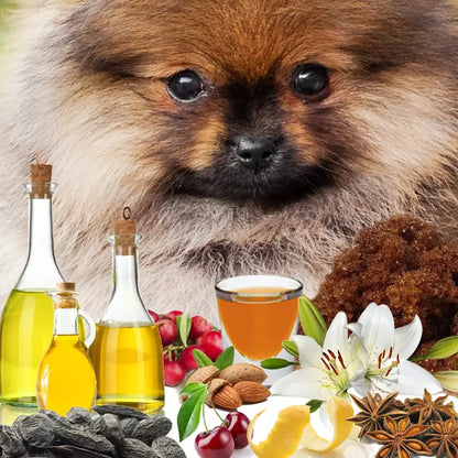 Strut Dog Cologne | the Essence of Dog Gallon