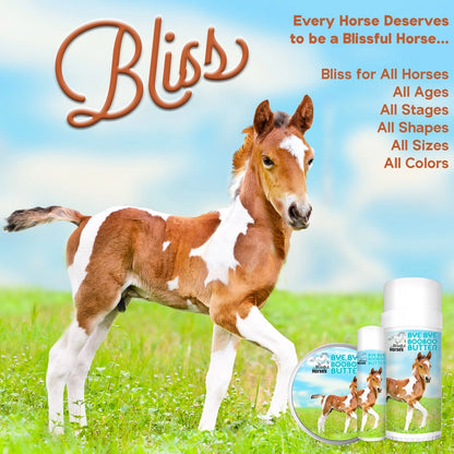 The Blissful Horses Boo Boo Butter in Tins &amp; Tubes