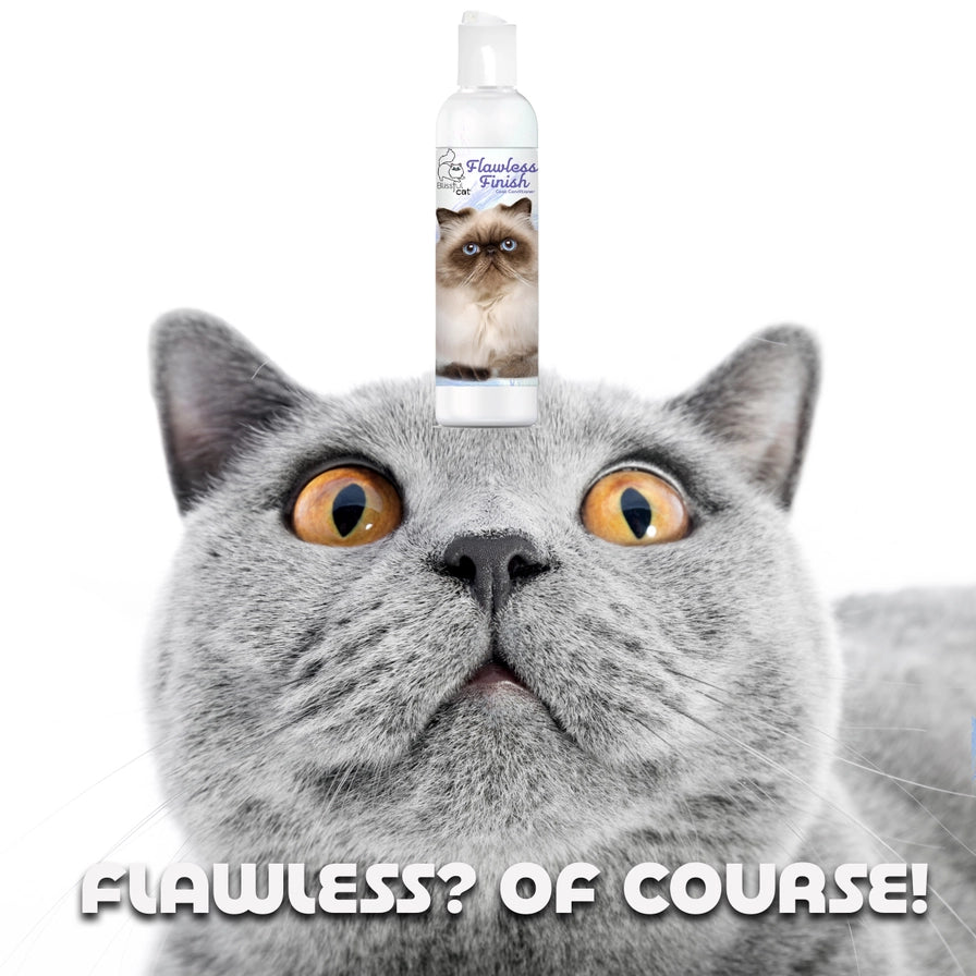 The Blissful Cat Flawless Finish Conditioner
