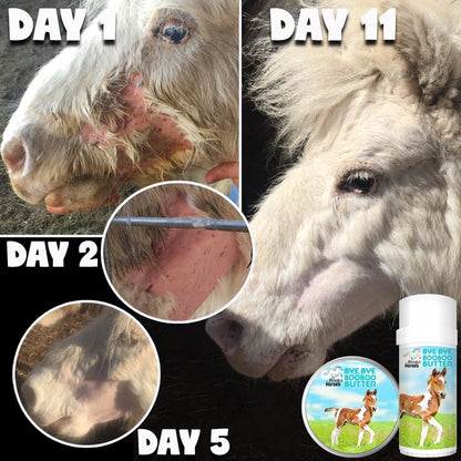 The Blissful Horses Boo Boo Butter in Tins &amp; Tubes