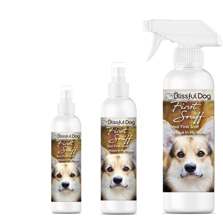 First Sniff Dog Cologne First Sniff Stays On Your Mind