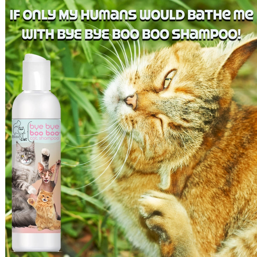 The Blissful Cat Bye Bye Boo Boo Cat Shampoo - 1 Gallon