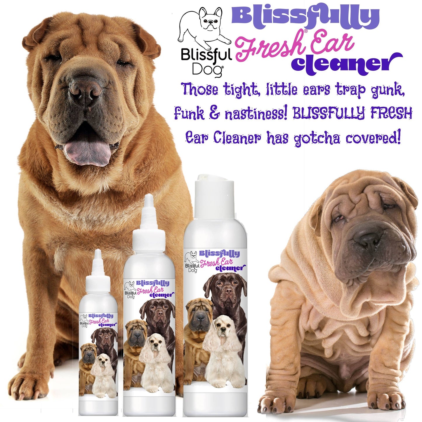 The Blissful Dog - Blissfully Fresh Dog Ear Cleaner in 4, 8, 16 oz: 16 oz