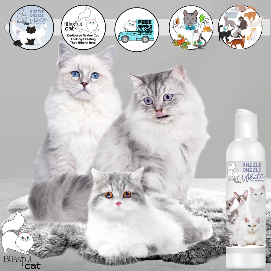 The Blissful Cat Razzle Dazzle White Cat Shampoo - 1 Gallon