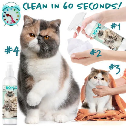 The Blissful Cat No H20 Spray Shampoo