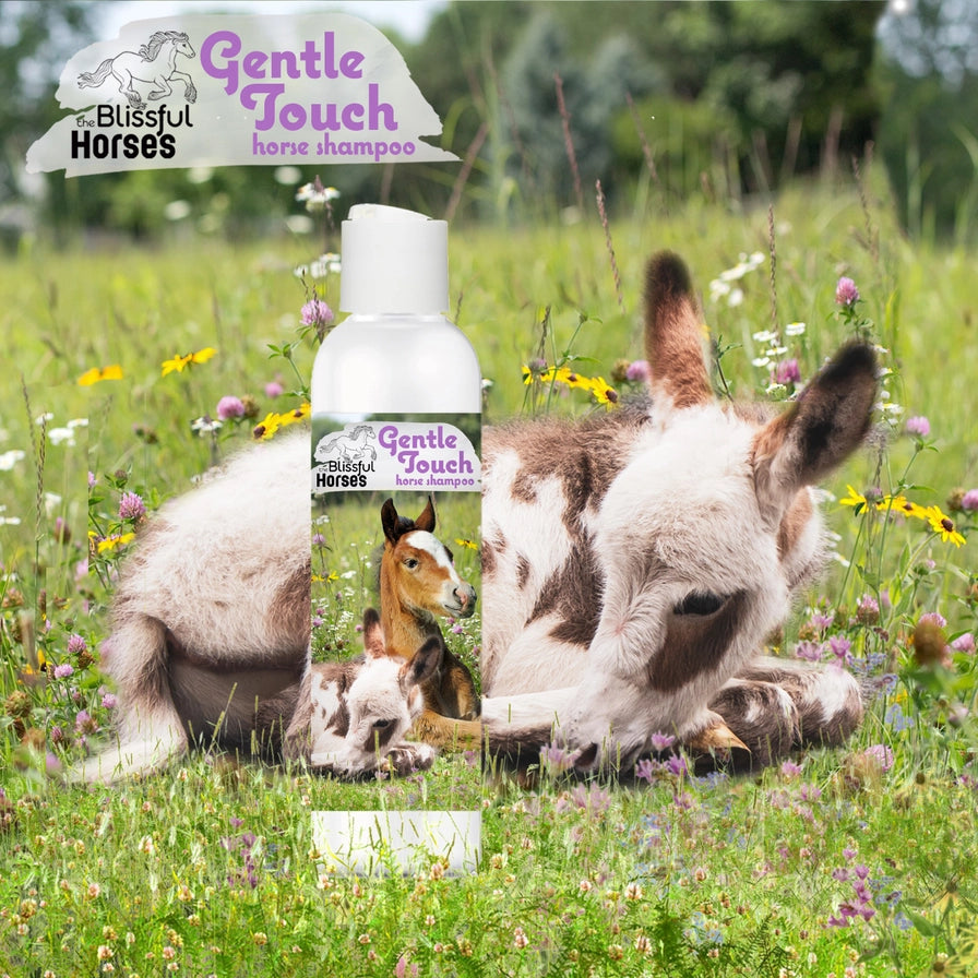 The Blissful Horses Gentle Touch Shampoo - 16 Ounce