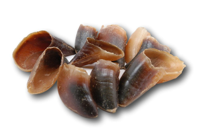 Healthy Dog Chews - Bovine Hooves: Case of 50