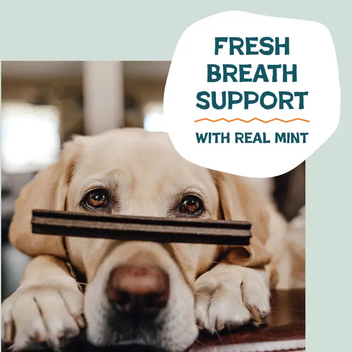 A Cluck A Day (Pre/Probiotic) Dental Sticks Dog Treats