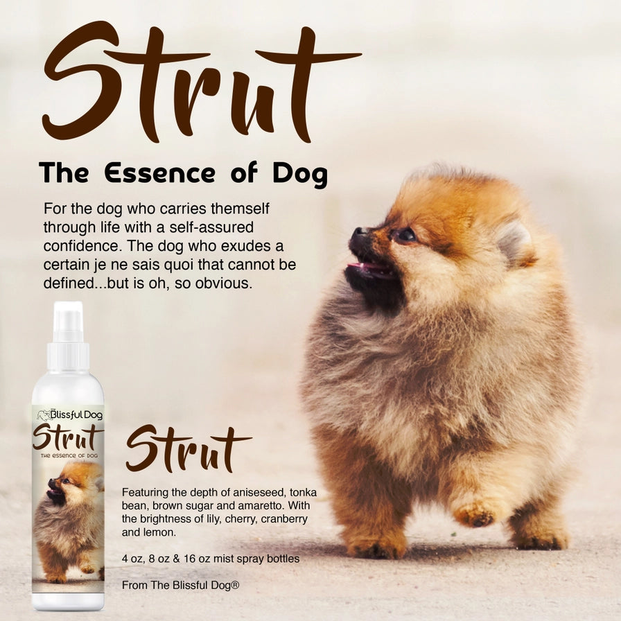 Strut Dog Cologne | Sniffing Irresistable 4,8,16 oz