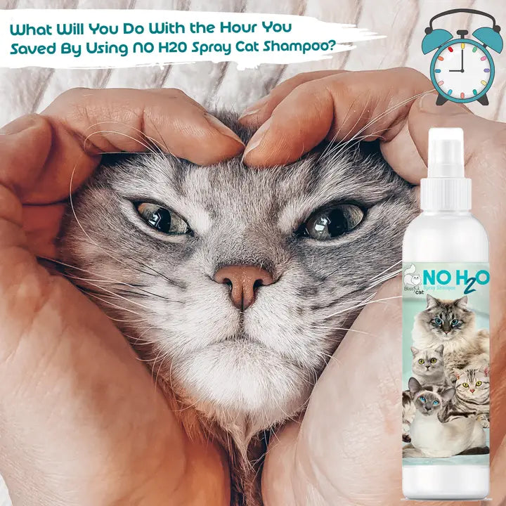 The Blissful Cat No H20 Spray Shampoo
