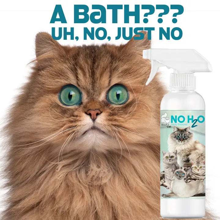 The Blissful Cat No H20 Spray Shampoo