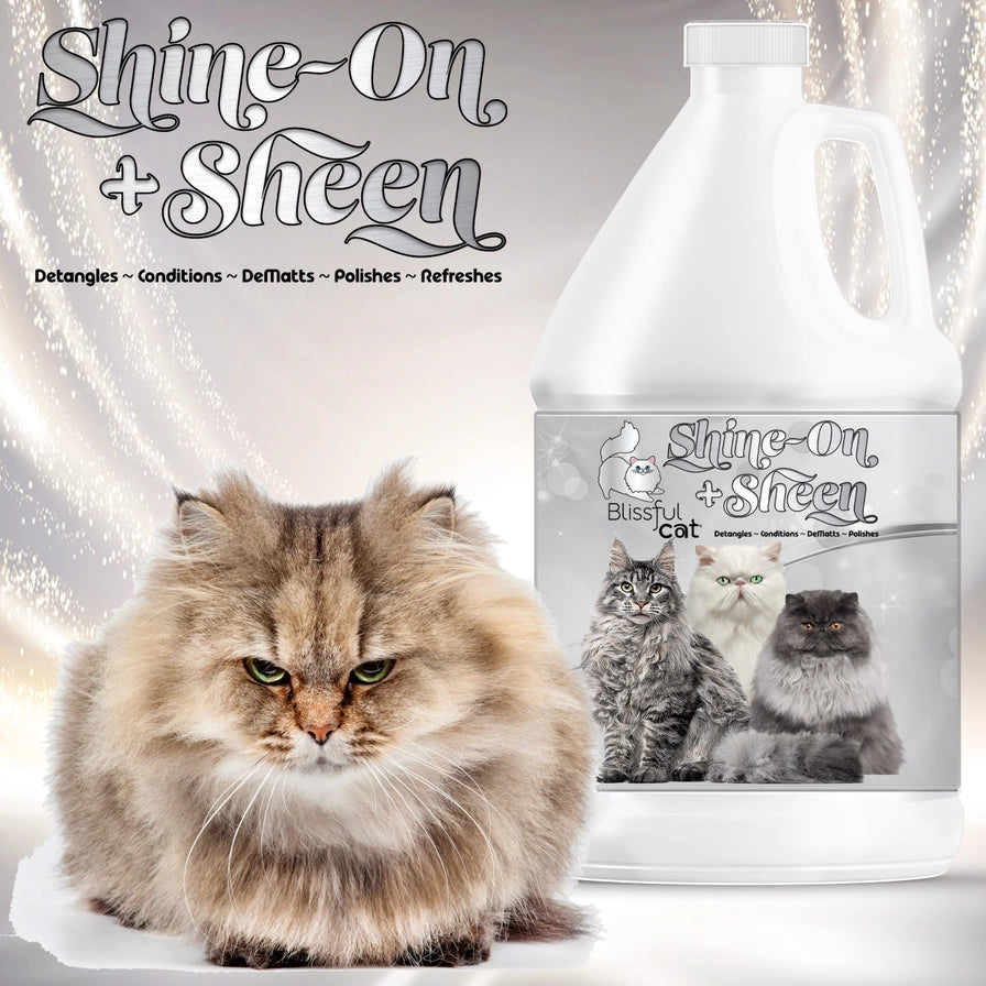 The Blissful Cat Shine On+Sheen Spray - 1 Gallon