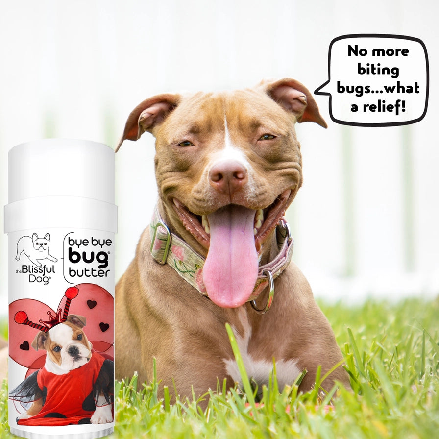 Bye Bye Bug Butter Natural Insect Repellant