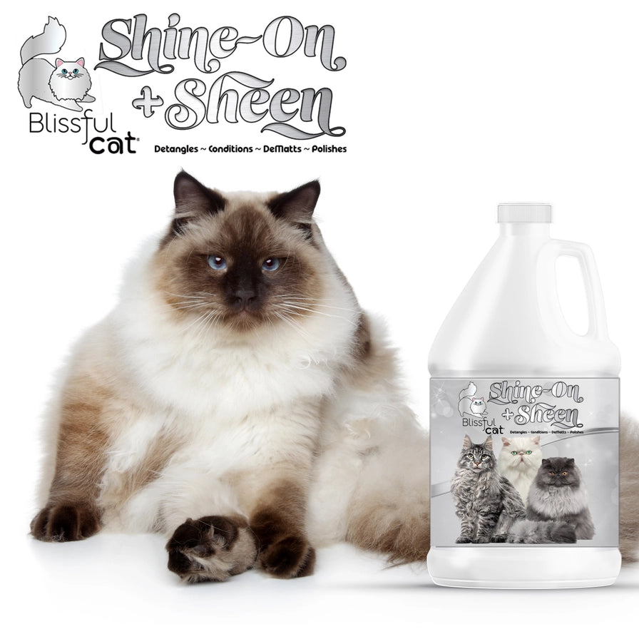 The Blissful Cat Shine On+Sheen Spray - 1 Gallon