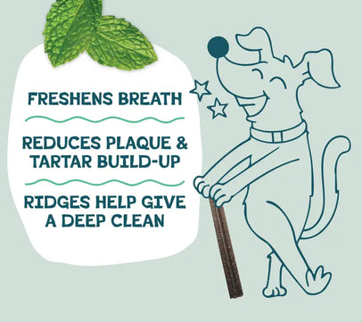 A Cluck A Day (Pre/Probiotic) Dental Sticks Dog Treats