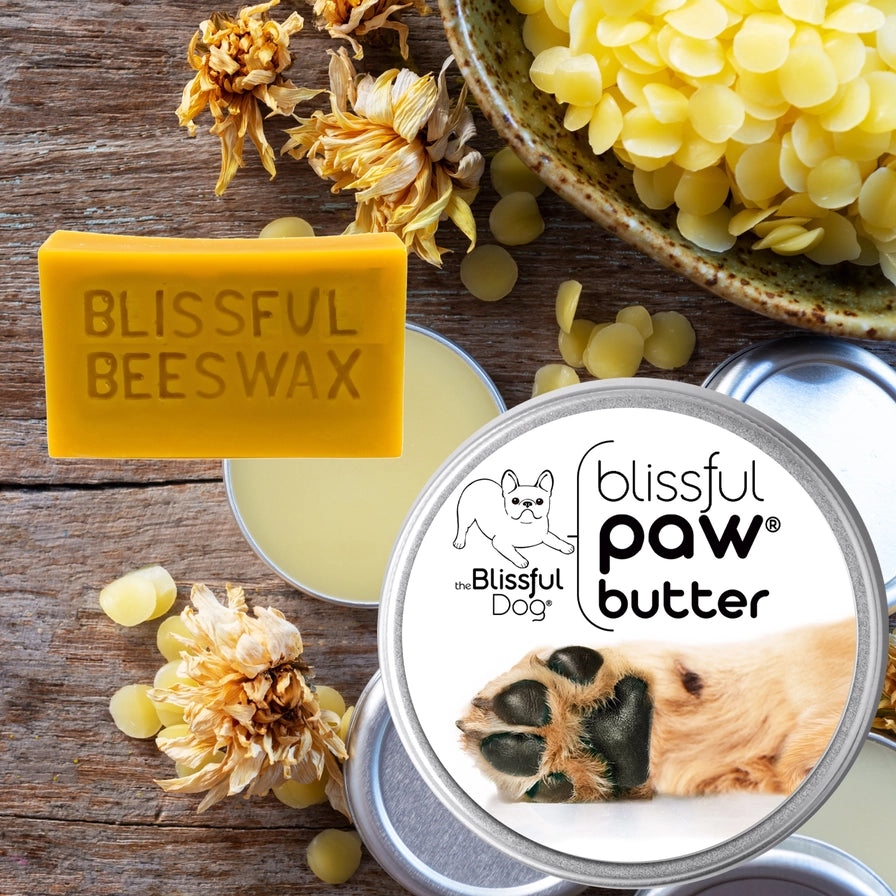 Paw Butter For Rough, Dry Dog Paws in Tins & Tubes, Paw Balm