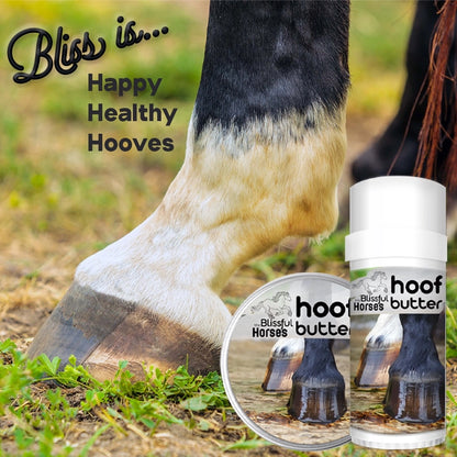 The Blissful Horses Moisturizing Hoof Butter in Tins &amp; Tubes