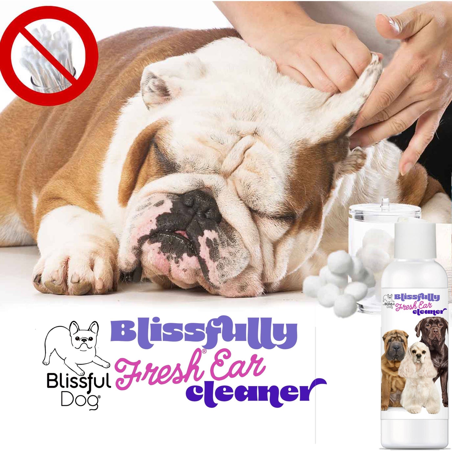 The Blissful Dog - Blissfully Fresh Dog Ear Cleaner in 4, 8, 16 oz: 16 oz
