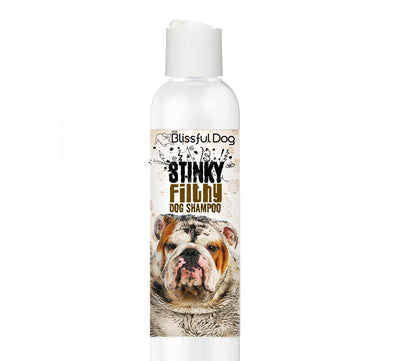 Stinky Filthy Dog Shampoo for Your Filthy Animal of a Dog