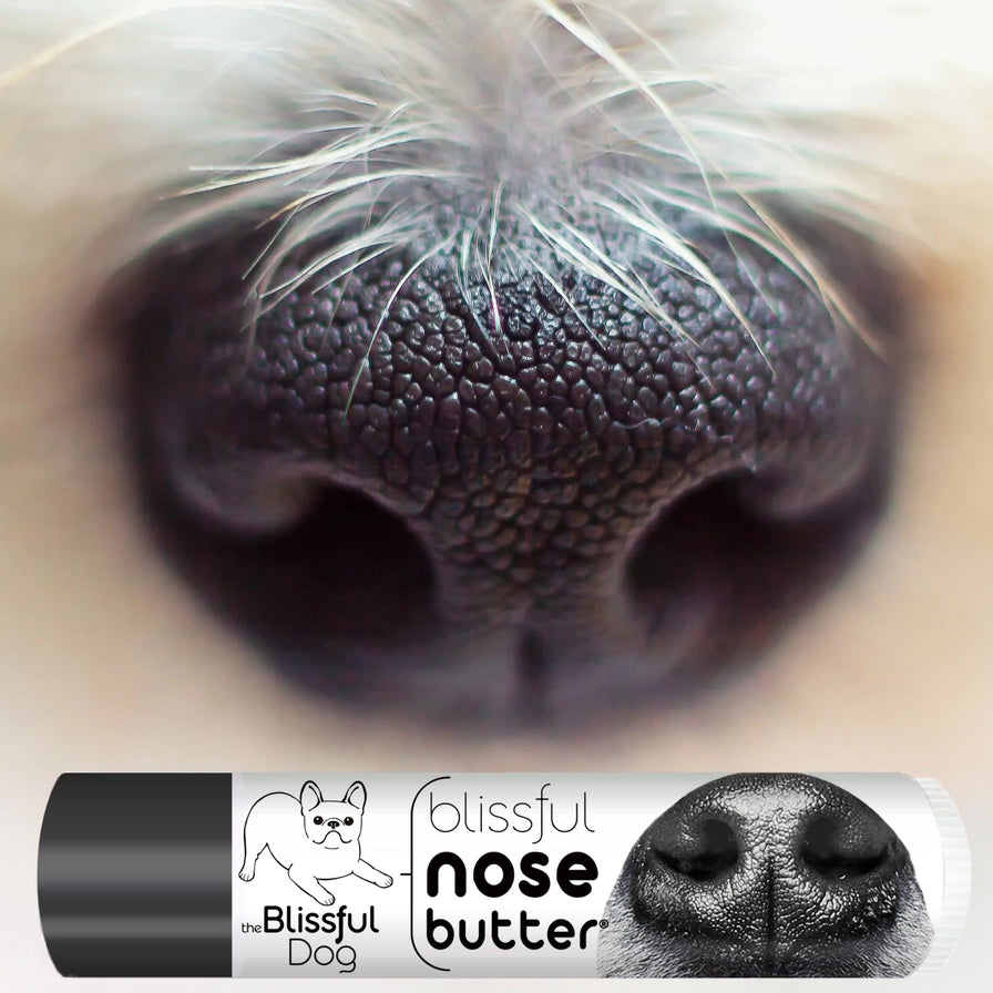 Nose Butter For Rough, Dry Dog Noses in Tins & Tubes