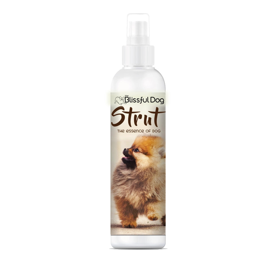 Strut Dog Cologne | Sniffing Irresistable 4,8,16 oz