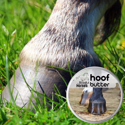 The Blissful Horses Moisturizing Hoof Butter in Tins &amp; Tubes
