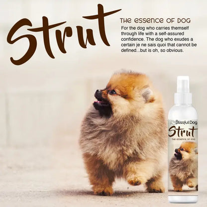 Strut Dog Cologne | the Essence of Dog Gallon