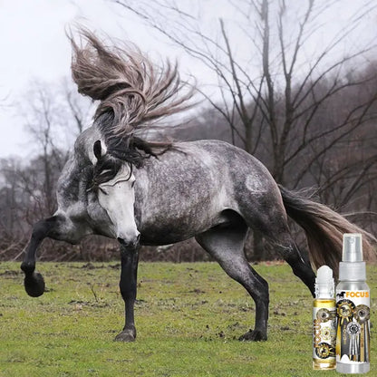 The Blissful Horses Focus Aromatherapy Spray &amp; Roll-On