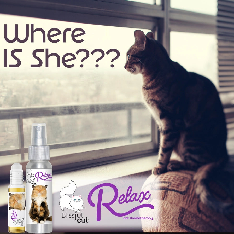 The Blissful Cat Relax Aromatherapy Spray &amp; Roll-On