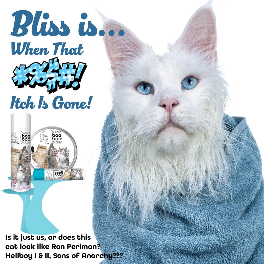 The Blissful Cat Boo Boo Butter