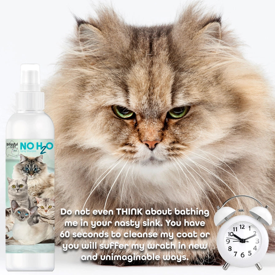 The Blissful Cat Shampoo Combo Kit, Set of 3 with Towel