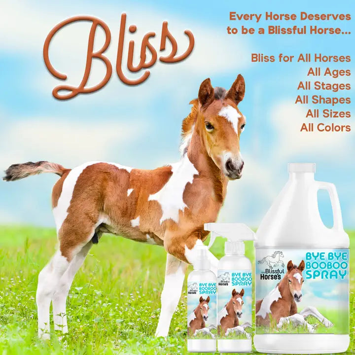 The Blissful Horses Bye Bye Boo Boo Spray - 16 Ounce