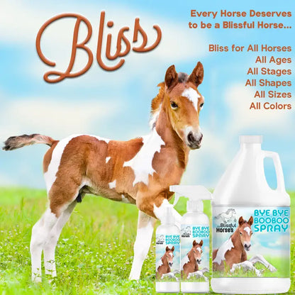 The Blissful Horses Bye Bye Boo Boo Spray - 16 Ounce