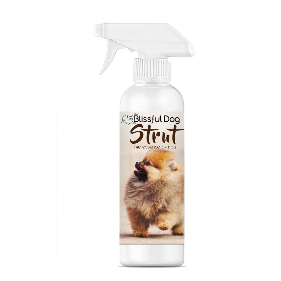 Strut Dog Cologne | Sniffing Irresistable 4,8,16 oz