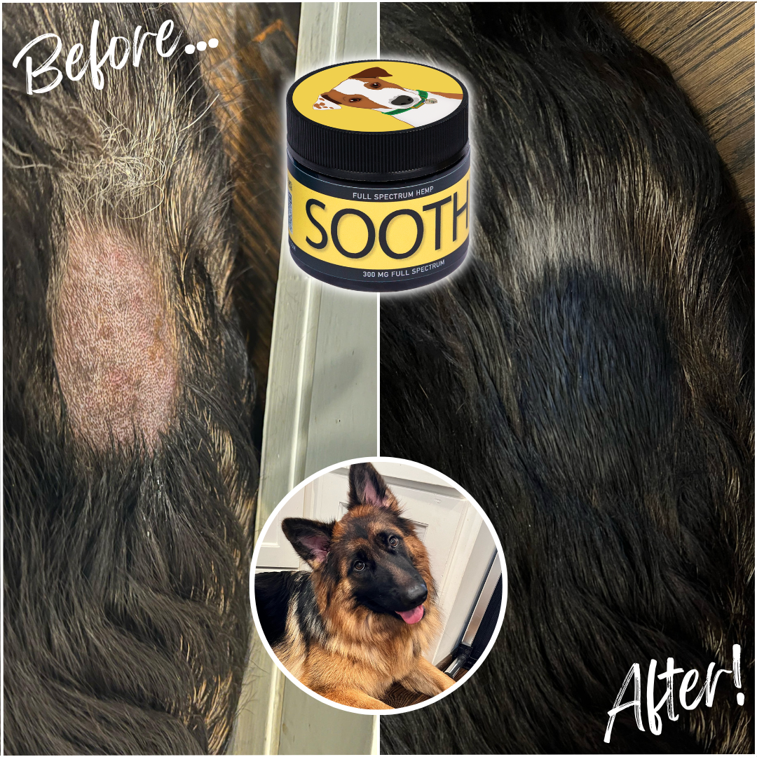 Soothe - For Dogs