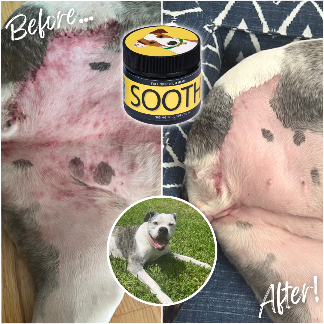 Soothe - For Dogs