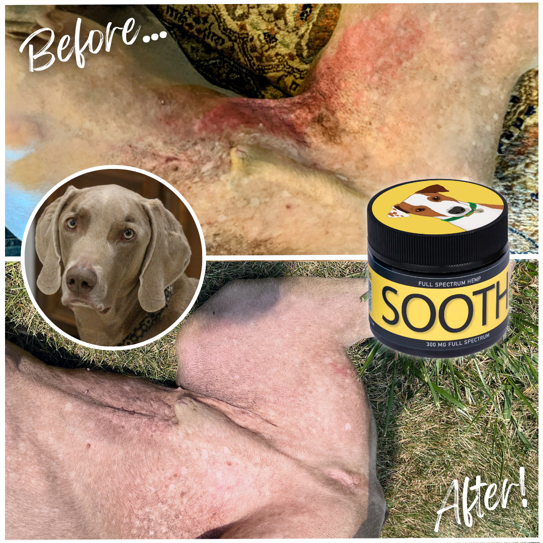 Soothe - For Dogs