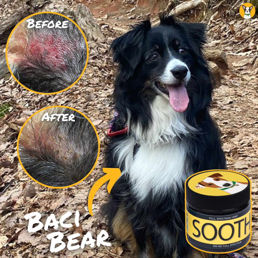 Soothe - For Dogs