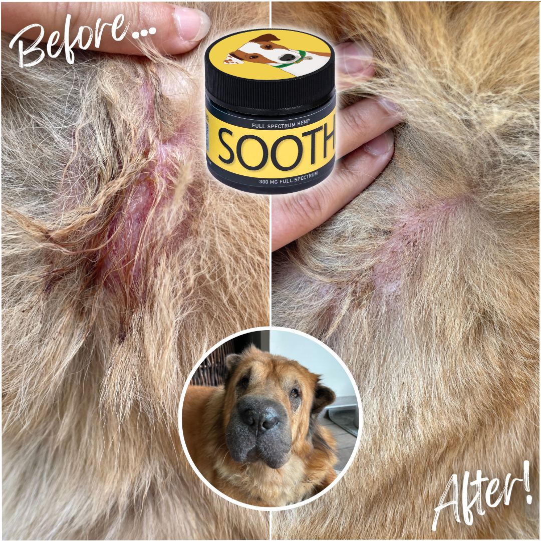 Soothe - For Dogs