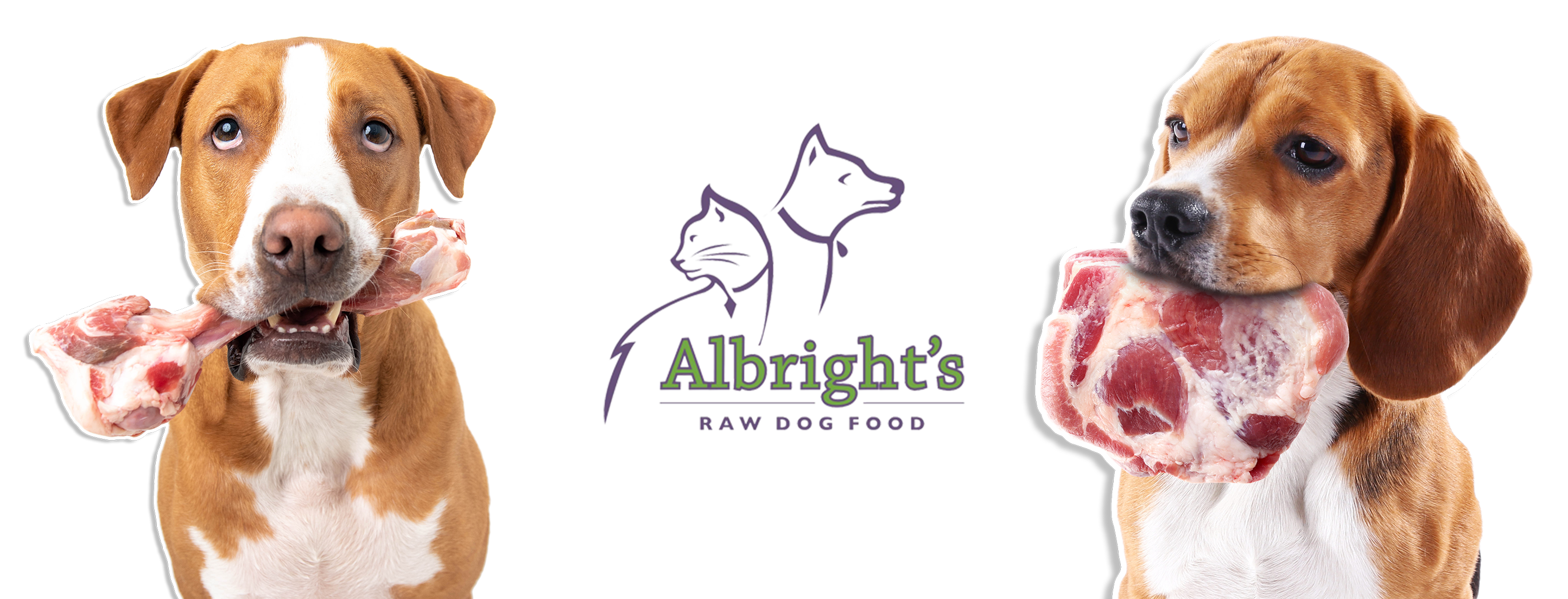 Tefco raw online dog food