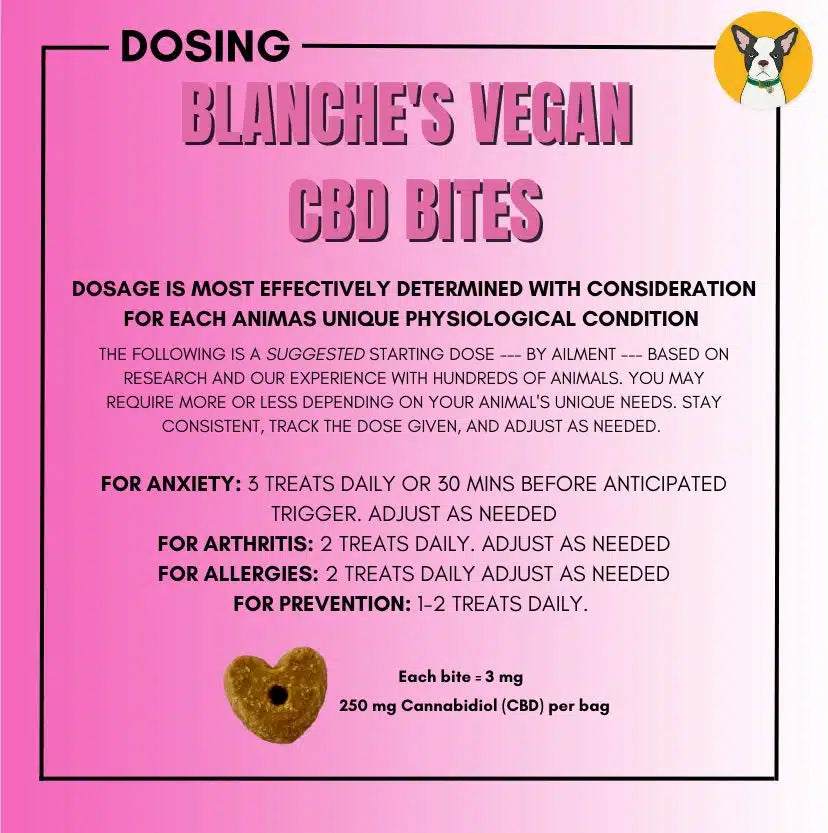 Blanche’s CBD Edibles