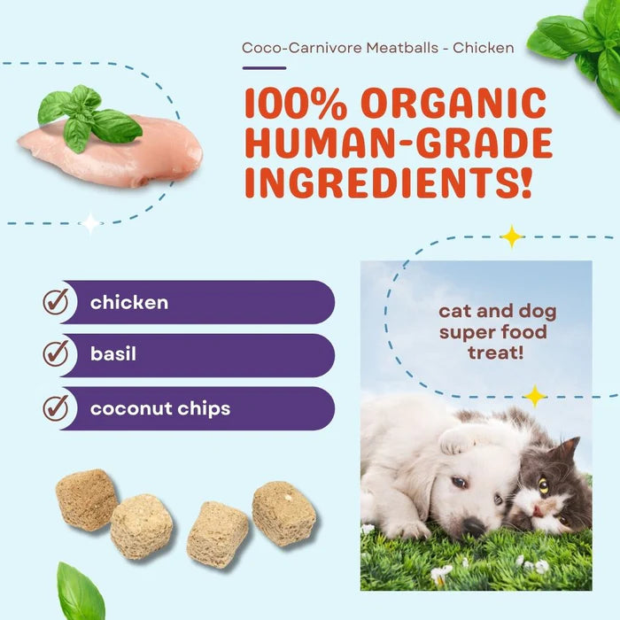 Coco-Carnivore Meatballs–Chicken/Basil/Coconut