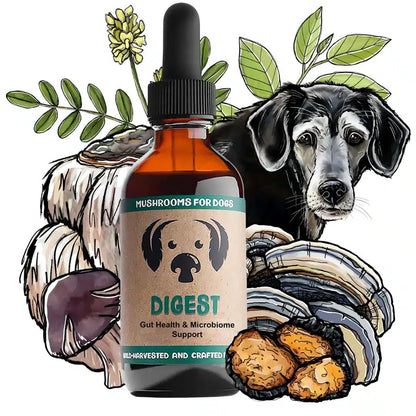Digest by MycoDog Mushroom Extract &amp; Adaptogen Tincture