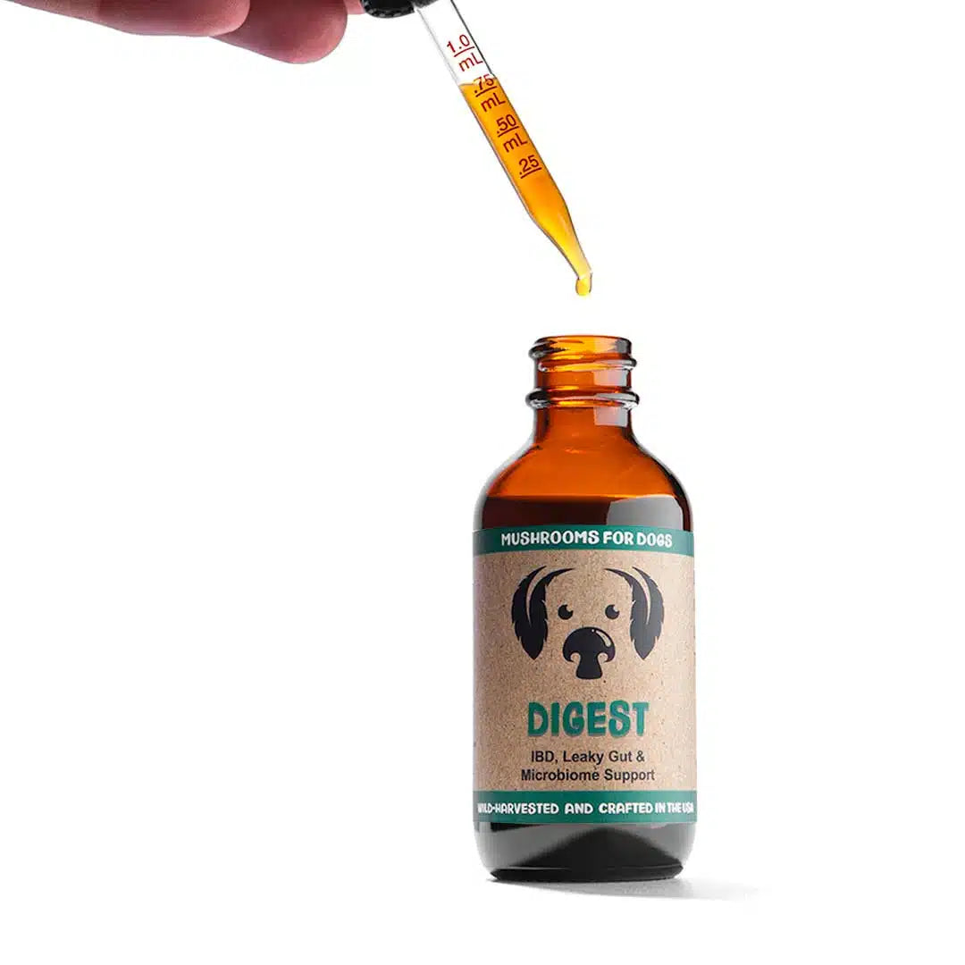 Digest by MycoDog Mushroom Extract &amp; Adaptogen Tincture