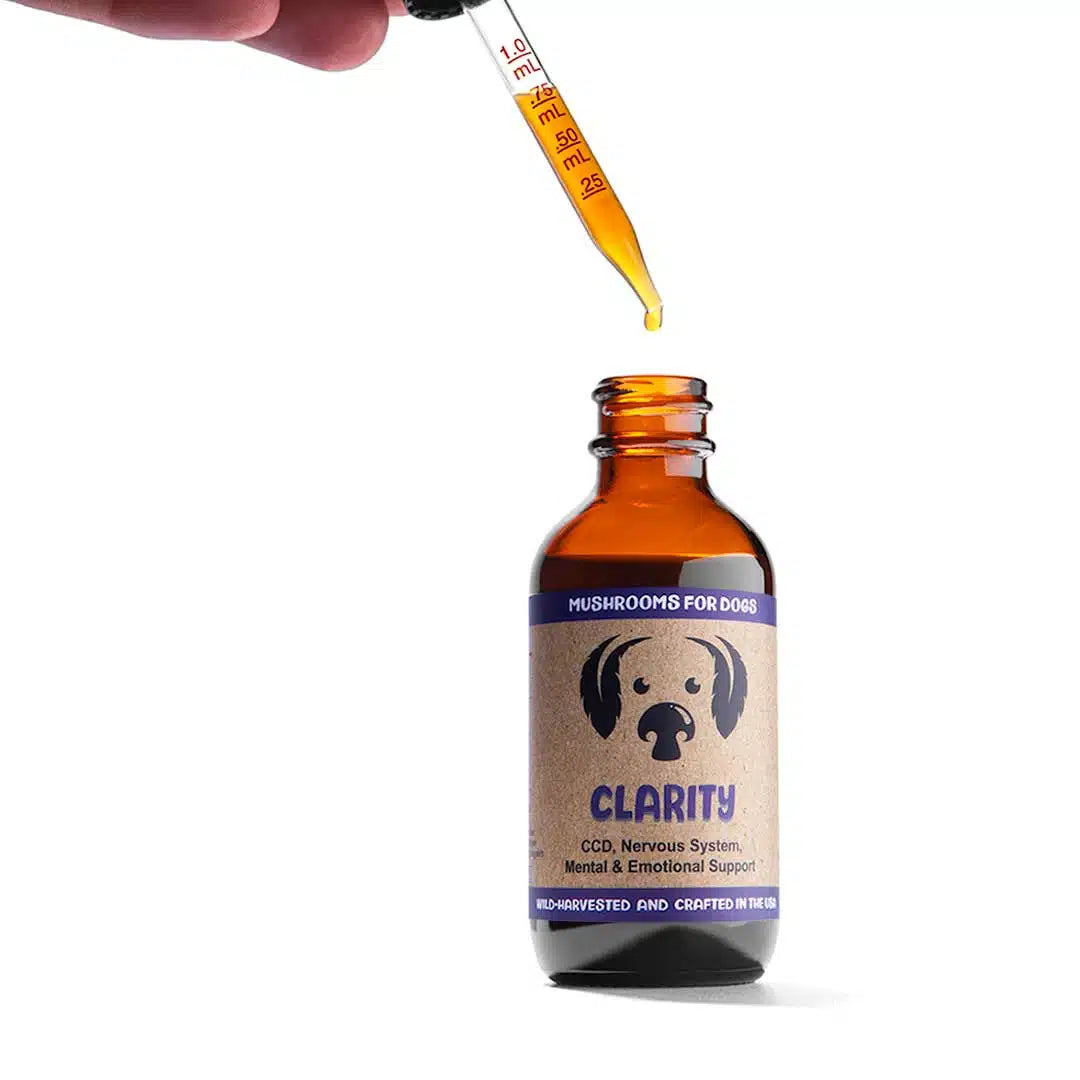 Clarity by MycoDog Mushroom Extract & Adaptogen Tincture