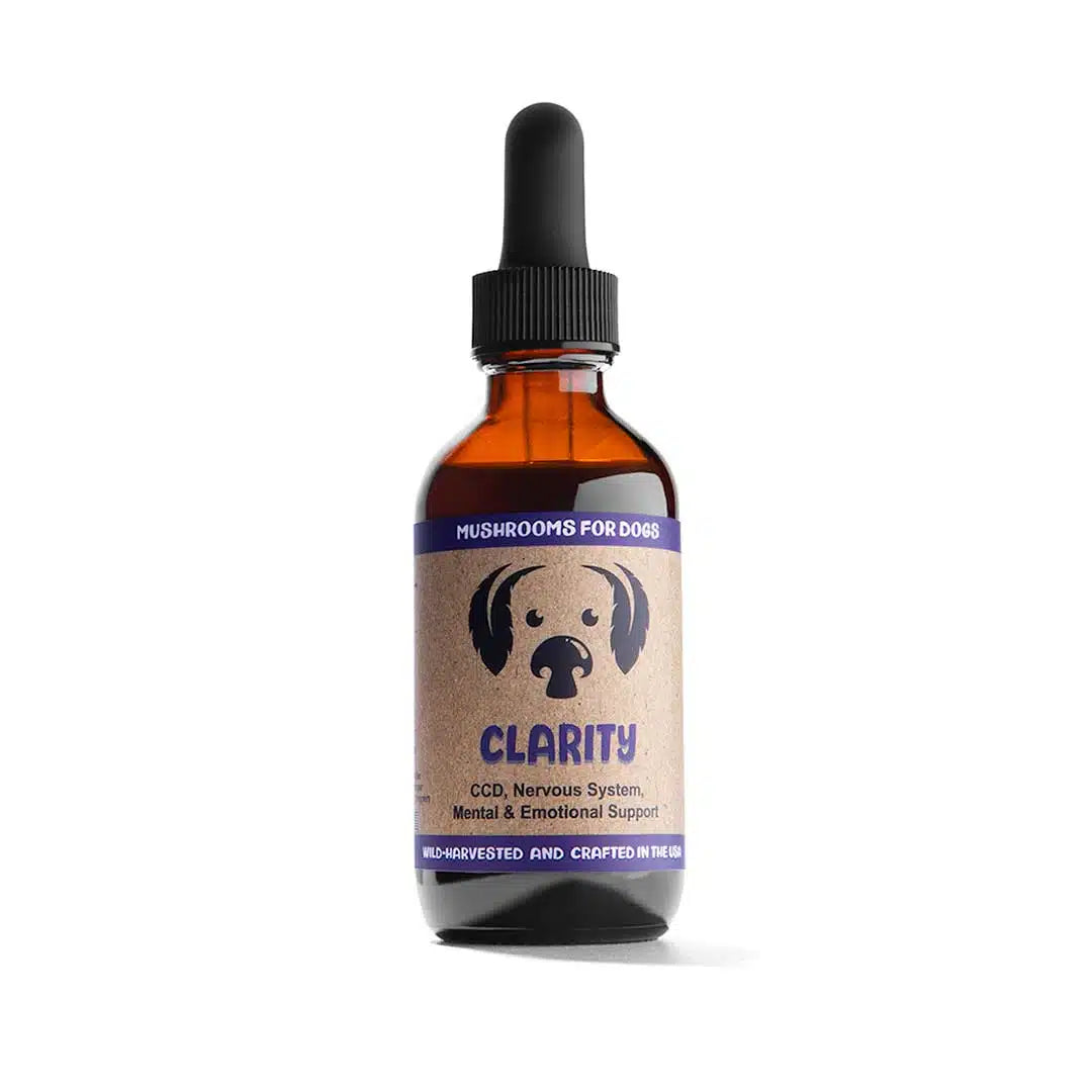 Clarity by MycoDog Mushroom Extract & Adaptogen Tincture