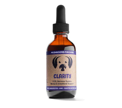 Clarity by MycoDog Mushroom Extract & Adaptogen Tincture