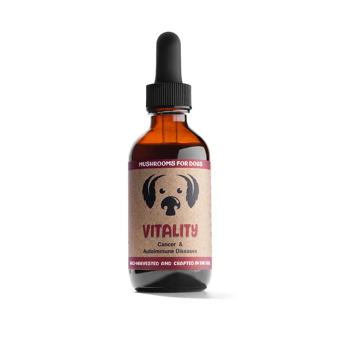 Vitality by MycoDog Mushroom Extract & Adaptogen Tincture